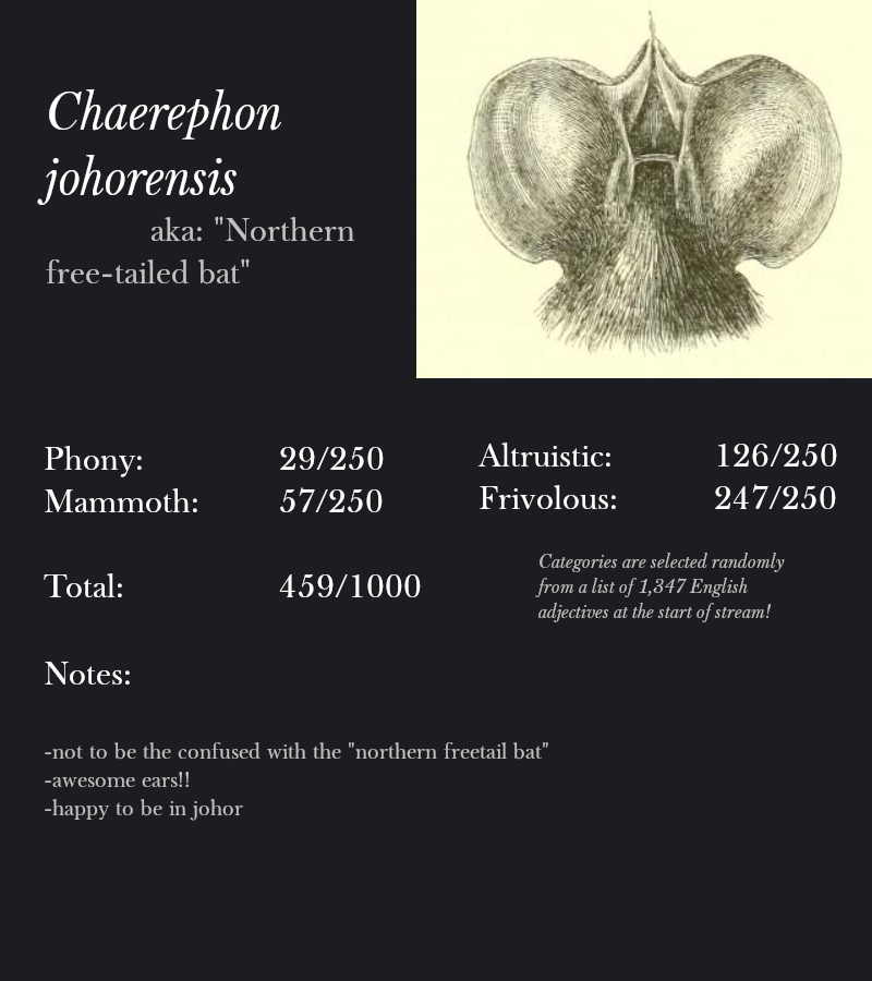 Chaerephon johorensis